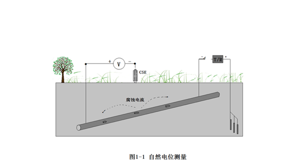 1706337550304586.png image.png