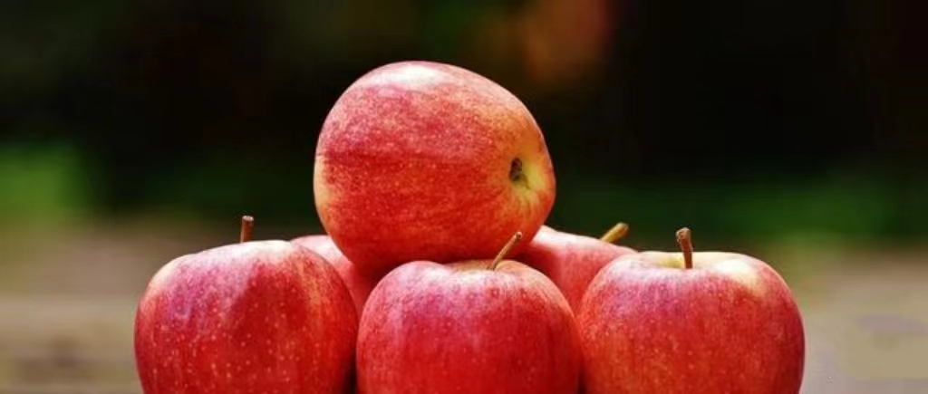 1709536944429255.jpg 微信图片_20240304151242.jpg