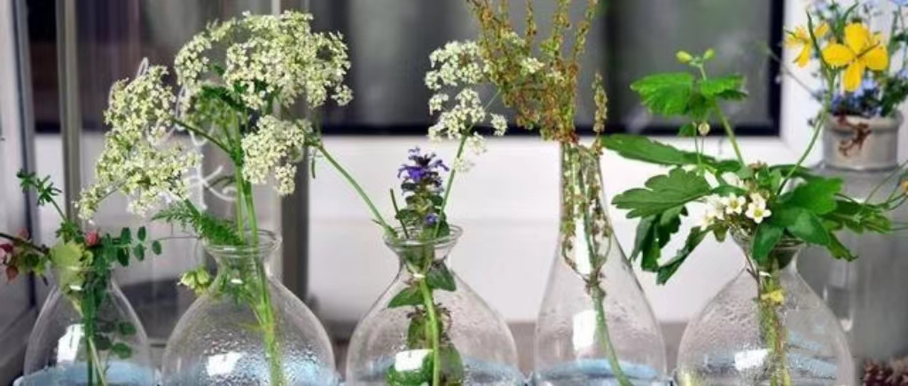 1709536998415371.jpg 微信图片_202403041512431.jpg